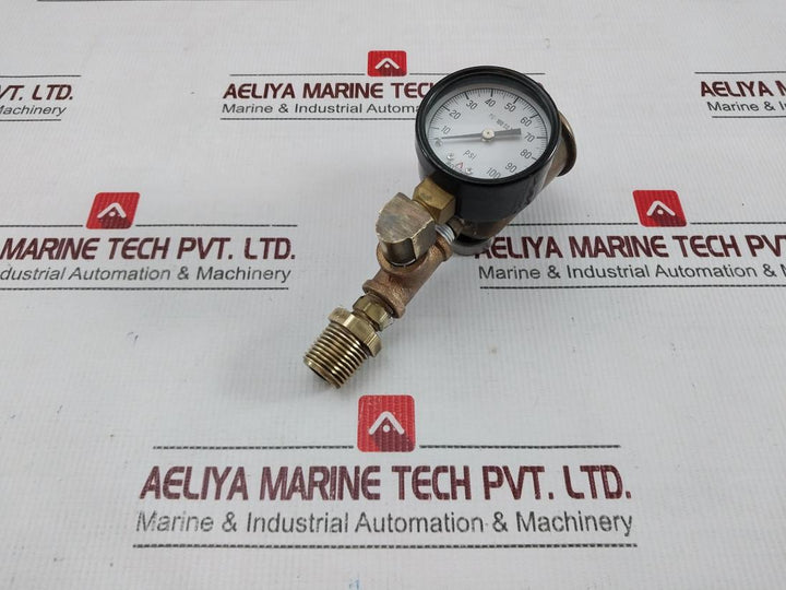 Accutek Pg-100 Sd 2 Auto-vent Gauge And Air Eliminator Assembly 0-100 Psi