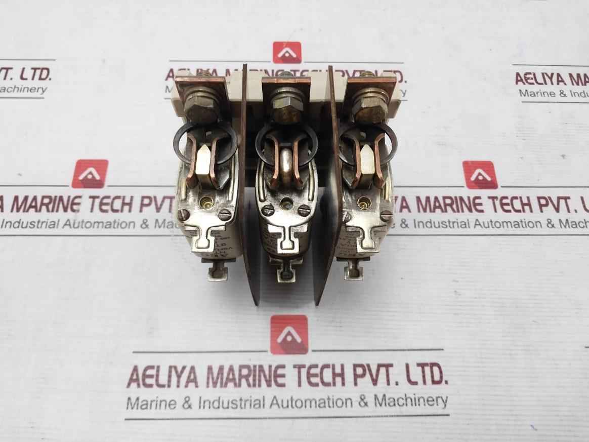 Aeg Nt-00 Fuse Holder With Fuse Gt 80A 100 Ka 6.5W 500V