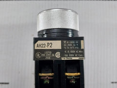 Ah22-p2B22-Command-Switch-600V-10A-Fuji-Electric-209815-9