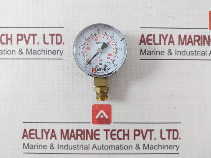 Aignep Pneumatic En837-1 Diaphragm Pressure Gauge 0-12 Bar