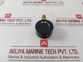 Aignep Pneumatic En837-1 Diaphragm Pressure Gauge 0-12 Bar