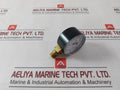 Aignep Pneumatic En837-1 Diaphragm Pressure Gauge 0-12 Bar