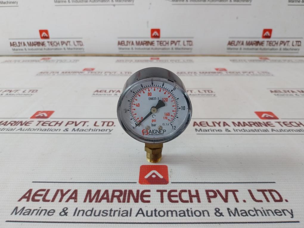 Aignep Pneumatic En837-1 Diaphragm Pressure Gauge 0-12 Bar