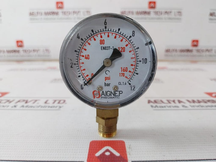 Aignep Pneumatic En837-1 Diaphragm Pressure Gauge 0-12 Bar