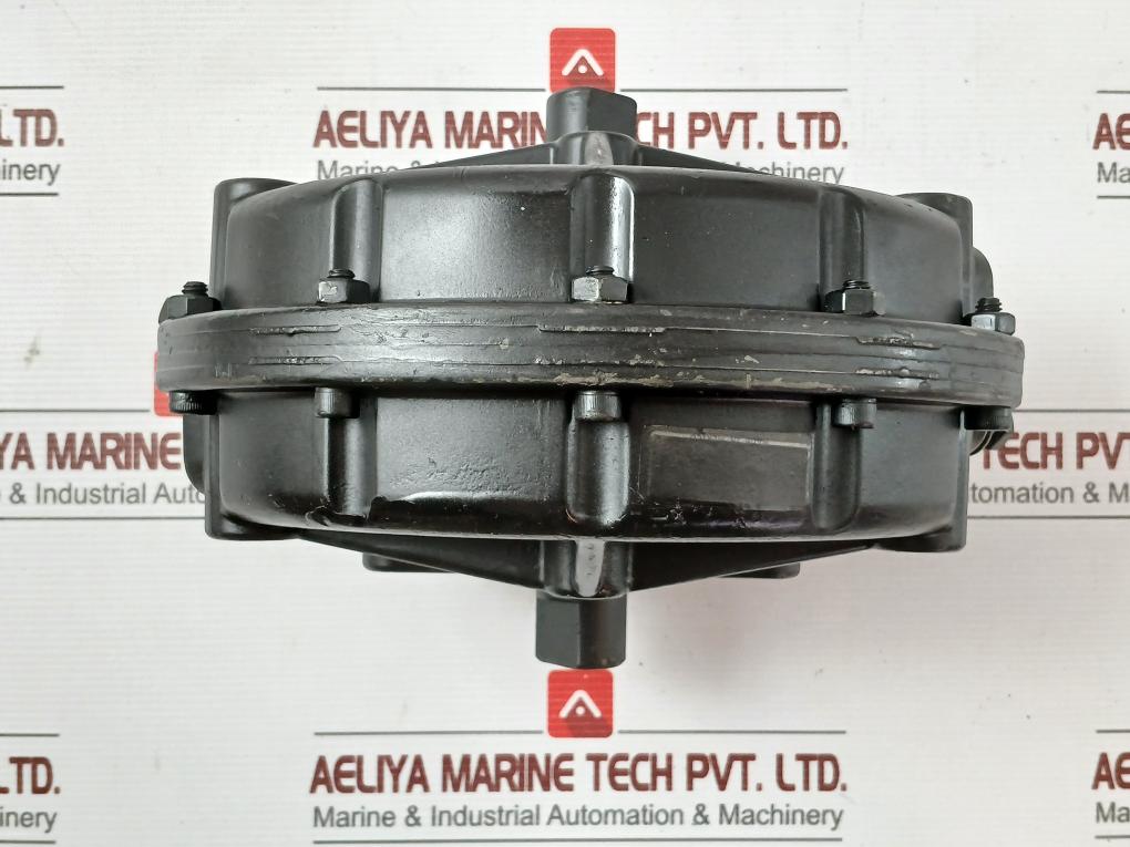 Air Actuator For Butterfly Valve 5 Inch Mx200 Matryx