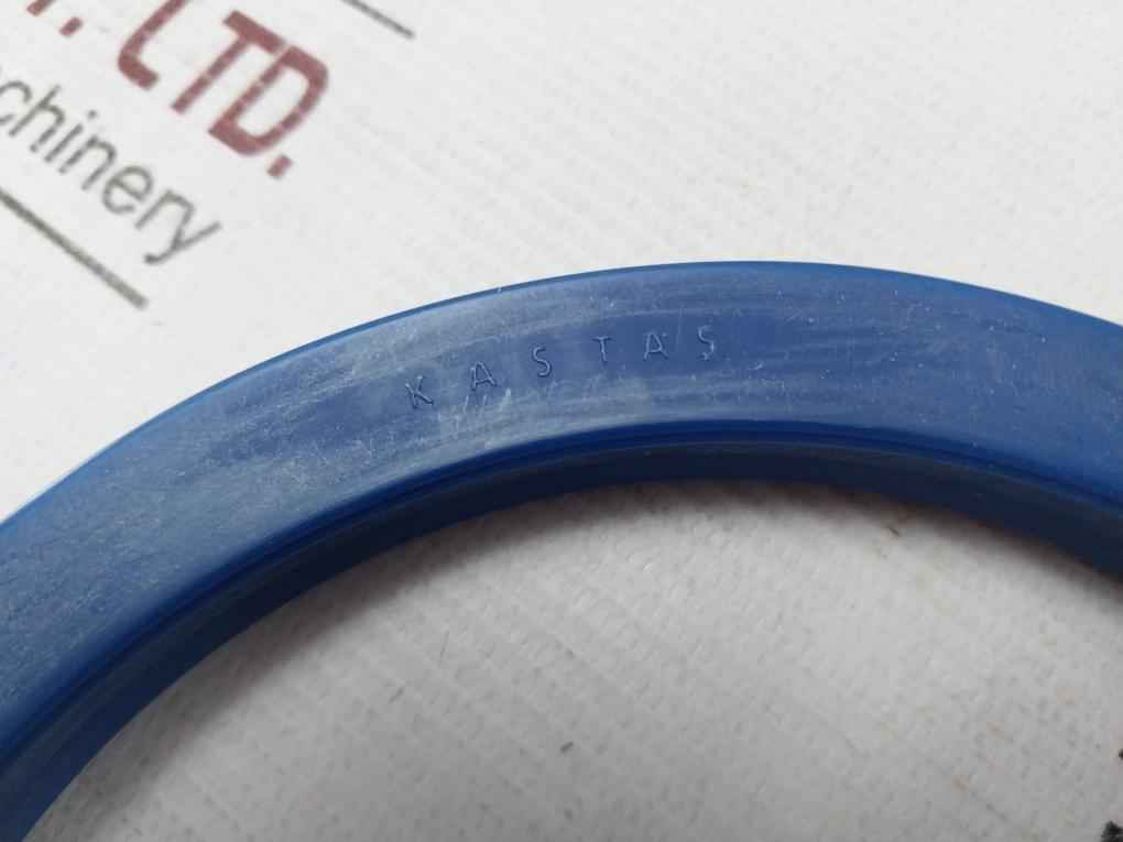 Aker Ba0060527 Seal Kit For Cylinder Cyp04476 Cd20 200/125Sp