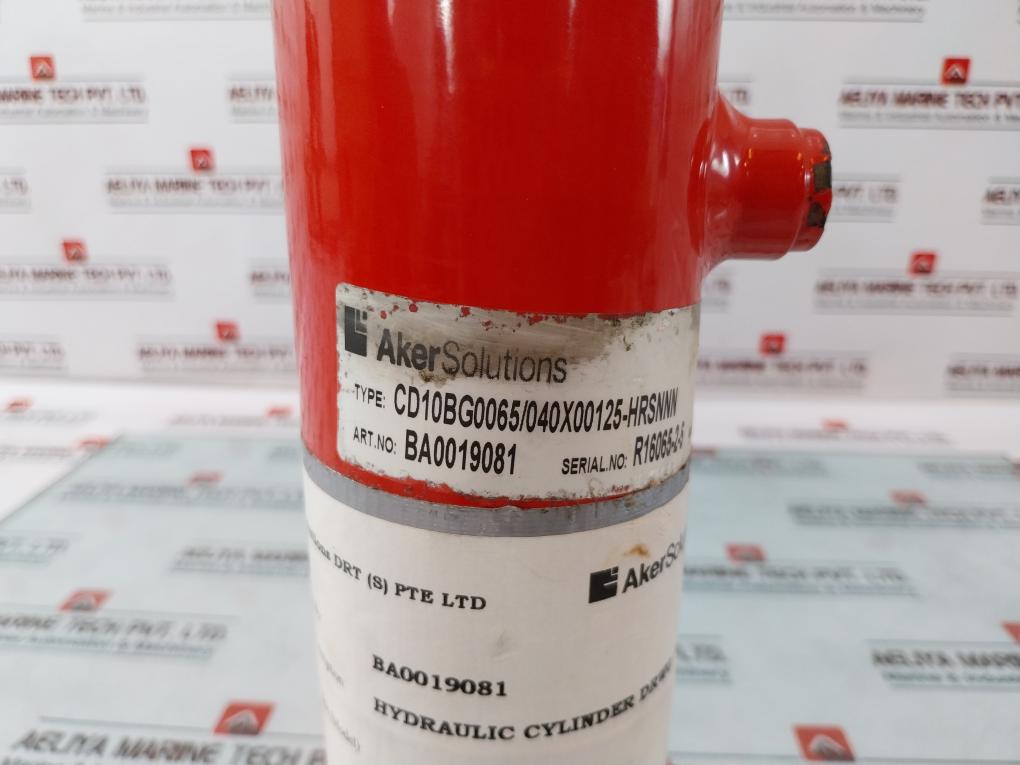 Aker CD10BG0065/040X00125-HRSNNN Hydraulic Cylinder 225 Bar