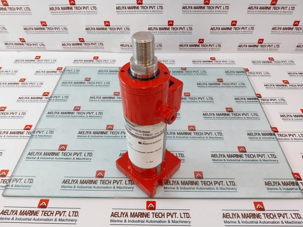 Aker CD10BG0065/040X00125-HRSNNN Hydraulic Cylinder 225 Bar