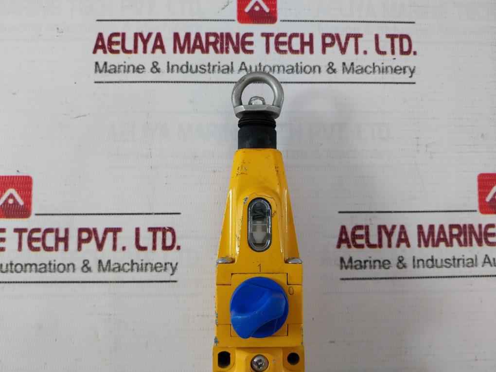 Allen-bradley 440E-d13118 C Lifeline 3 Safety Switch 240V 10A Ip67