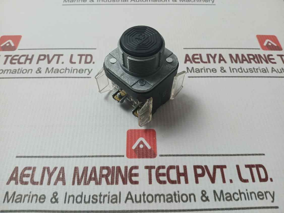 Allen-bradley 800T-a2A2 Push Button Flush Head Black 800Vac