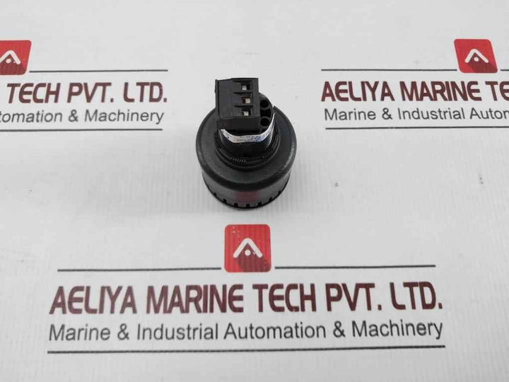 Allen-bradley 855p-b30me22 Panel Mount Signalling Device 12-24vac/dc