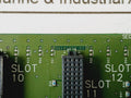 Allen Bradley 96191898 A01 Circuit Board For 12 Slots Kalex3K688