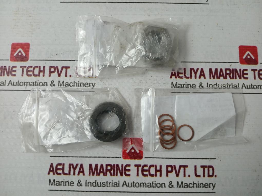 Allweiler 24875 Repair Kit - Seals Circlips Washers Rings