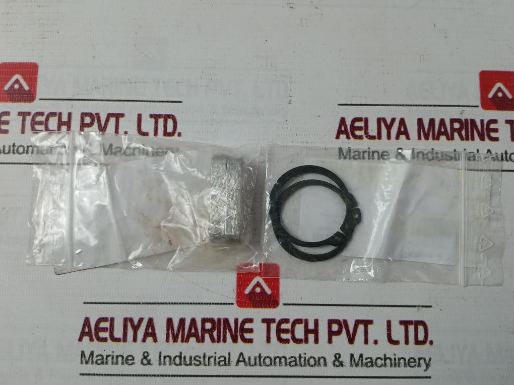 Allweiler 24875 Repair Kit - Seals Circlips Washers Rings