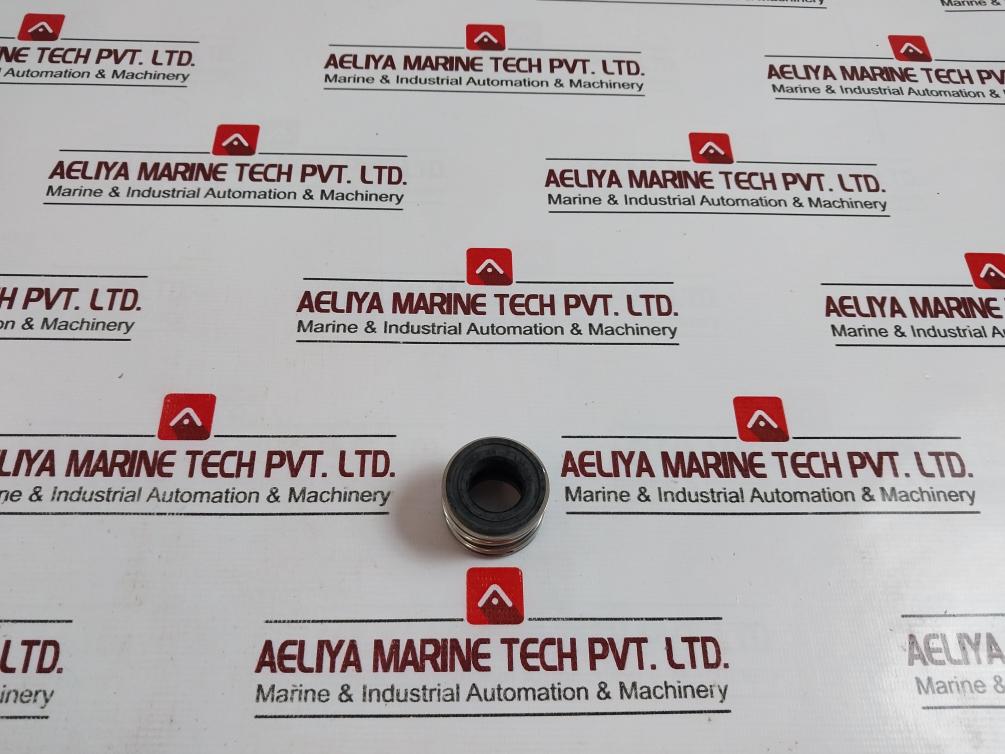 Allweiler N-B02-DDX1-0200 Mechanical Seal, DVZ-ABM2