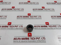 Allweiler N-B02-DDX1-0200 Mechanical Seal, DVZ-ABM2