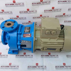Allweiler Nb32-160 /0151 U3.1D-w3-me3-38/300 Centrifugal Process Pump 45M