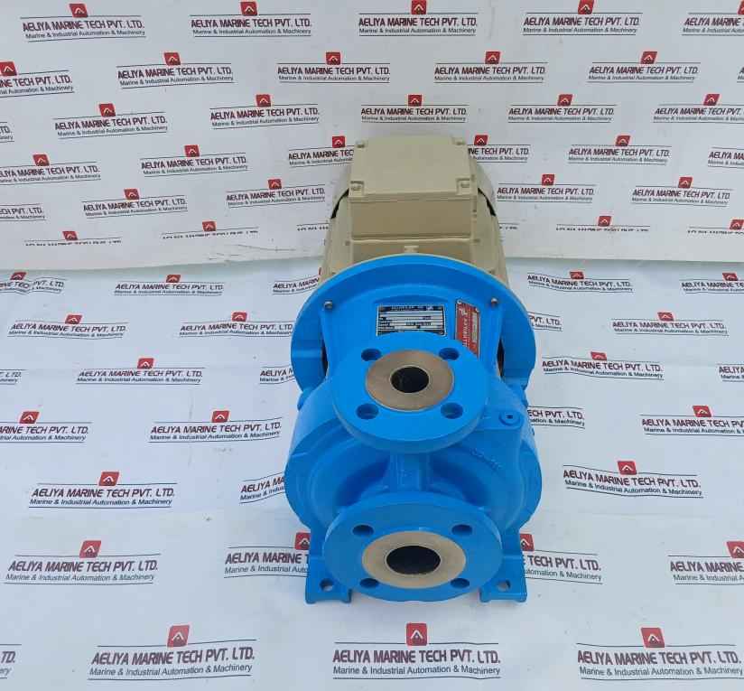 Allweiler Nb32-160U3.1D-w3-me3-38/300 Centrifugal Pump 15M(3)/H 4.7Kw 3500Rpm