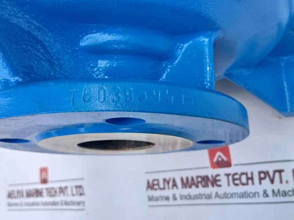 Allweiler Nb32-160U3.1D-w3-me3-38/300 Centrifugal Pump 15M(3)/H 4.7Kw 3500Rpm