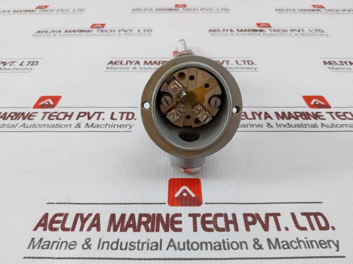 Ametek 1Xpt100 Temperature Sensor 1810-0101100000000 L-96, D-11, T-1/2-mm