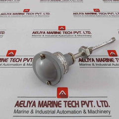 Ametek 1Xpt100 Temperature Sensor 1810-0101100000000 L-96, D-11, T-1/2-mm