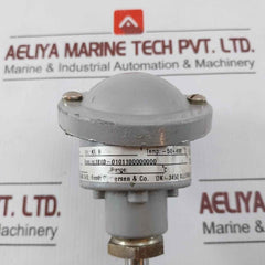 Ametek 1Xpt100 Temperature Sensor 1810-0101100000000 L-96, D-11, T-1/2-mm