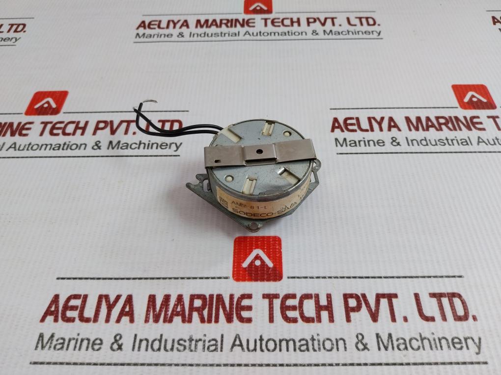 Amy 8 1-l Stepper Motor 220V 50/60Hz Sodeco-saia