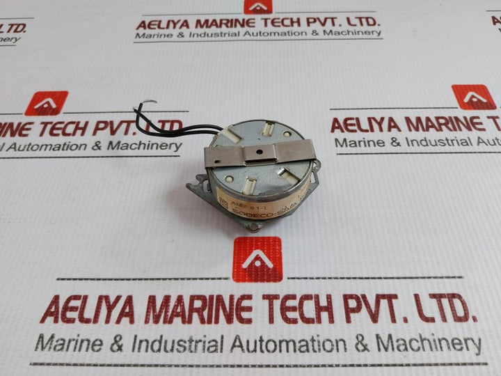 Amy 8 1-l Stepper Motor 220V 50/60Hz Sodeco-saia