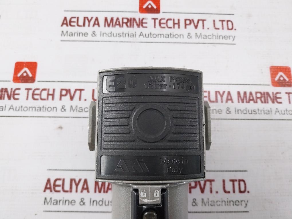Ani E20 Pneumatic Pressure Regulator 12 Bar-174 Psi