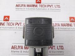 Ani E20 Pneumatic Pressure Regulator 12 Bar-174 Psi