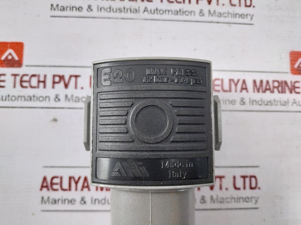 Ani E20 Pneumatic Pressure Regulator 12 Bar-174 Psi