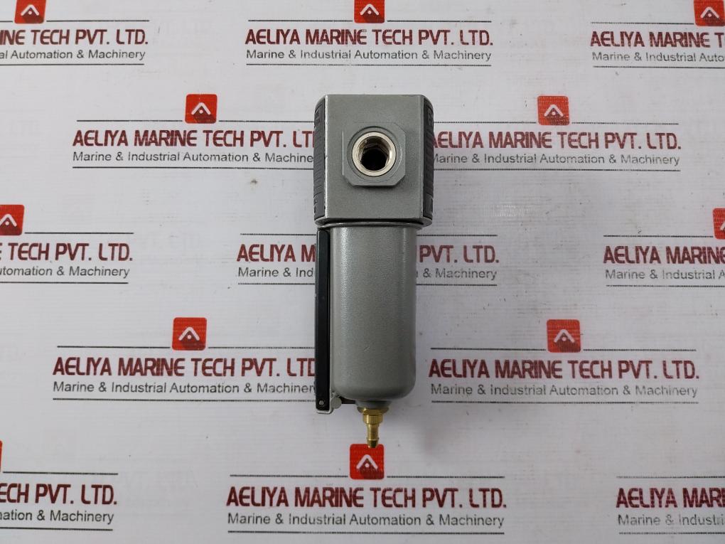 Ani E20 Pneumatic Pressure Regulator 12 Bar-174 Psi