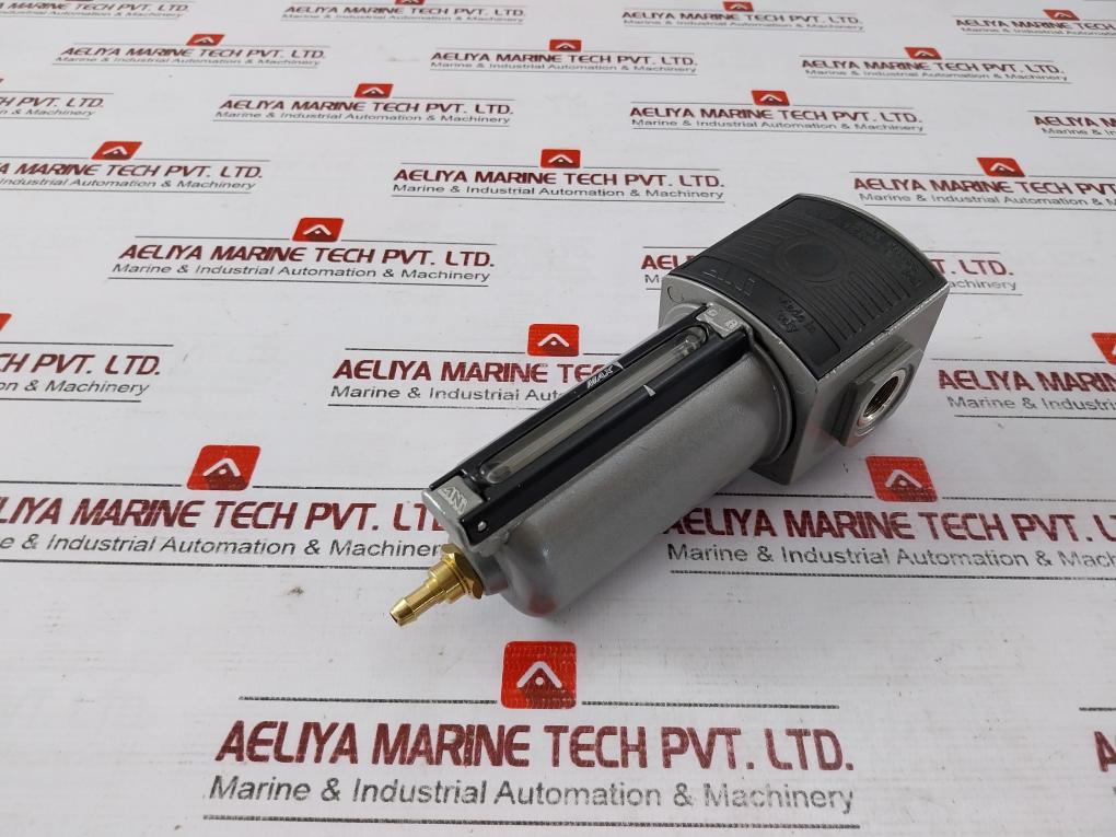 Ani E20 Pneumatic Pressure Regulator 12 Bar-174 Psi