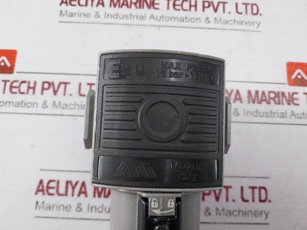 Ani E20 Pneumatic Pressure Regulator F-af12B 12 Bar 174 Psi