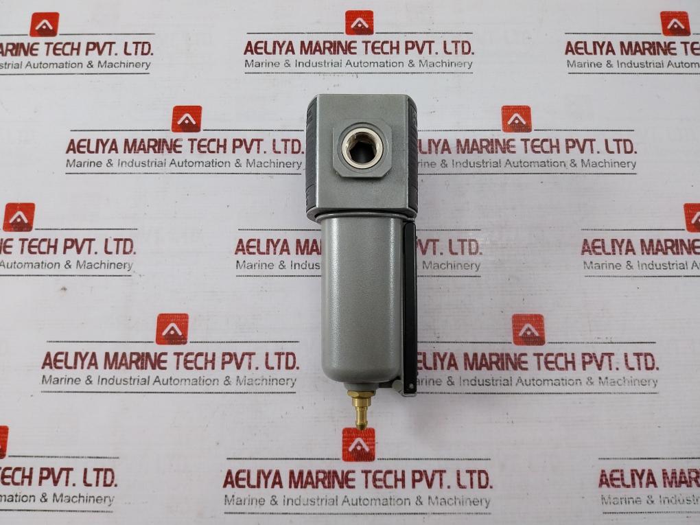 Ani E20 Pneumatic Pressure Regulator F-af12B 12 Bar 174 Psi