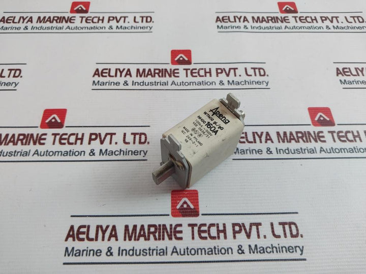 Apena Wtn00 Gl/gg Fuse 160a 100ka ~ 500v
