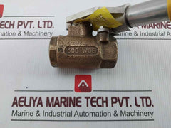 Apollo 71-504-01 316 Stainless Steel Bronze Ball Valve 3/4" 600 Wog