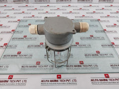 Appleton 604008001 V51 Series Aluminum Light Guard 50/60 Hz 150V Max 603020 A-21