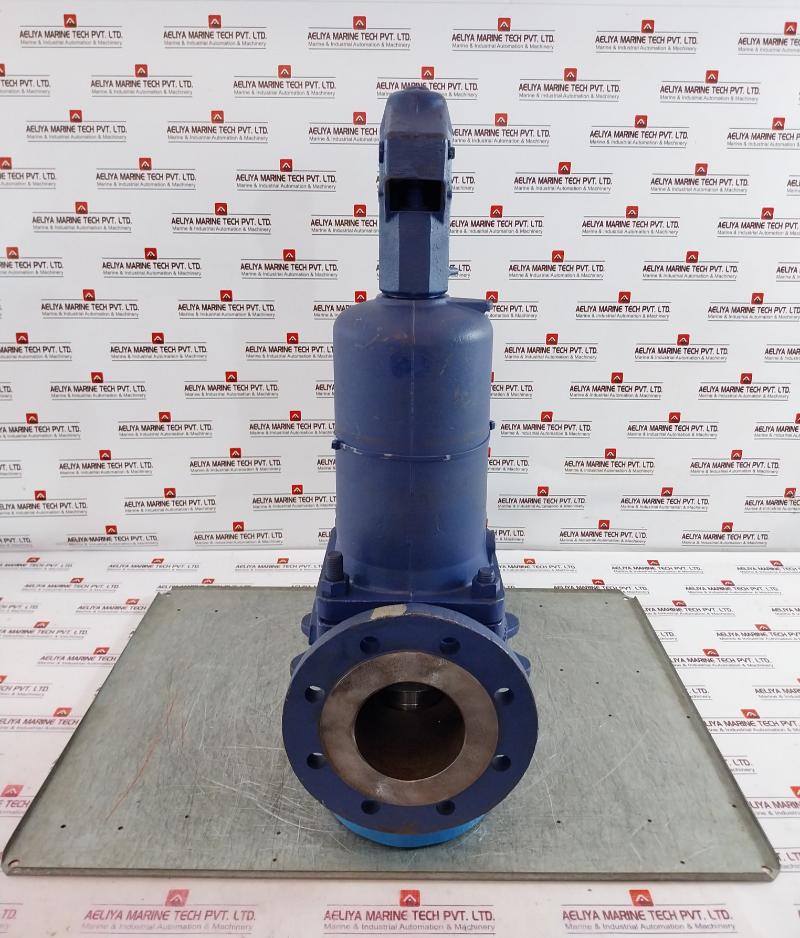 Ari Armaturen Js1049/sa395 Safety Valve Dn 65 Pn40/16 11 Bar