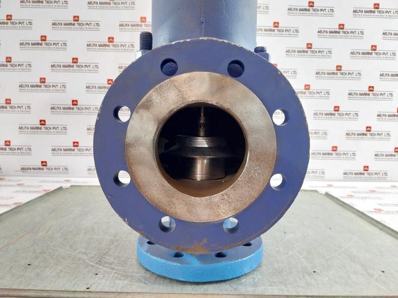 Ari Armaturen Js1049/Sa395 Safety Valve Dn 65 Pn40/16 11 Bar