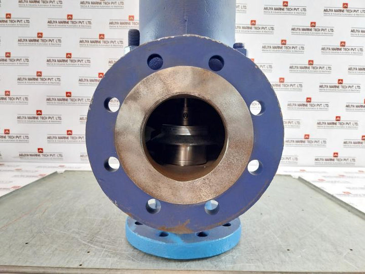 Ari Armaturen Js1049/Sa395 Safety Valve Dn 65 Pn40/16 11 Bar