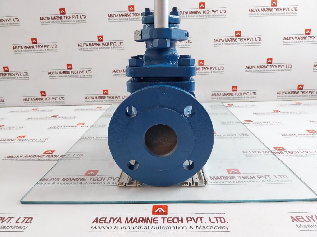 Ari Control Valve Pneumatic Actuator 30Mm 0.80-2.40Bar Dp32