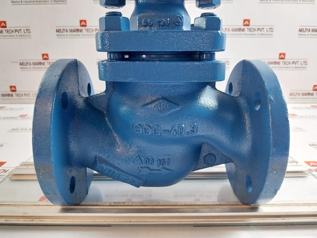 Ari Control Valve Pneumatic Actuator 30Mm 0.80-2.40Bar Dp32