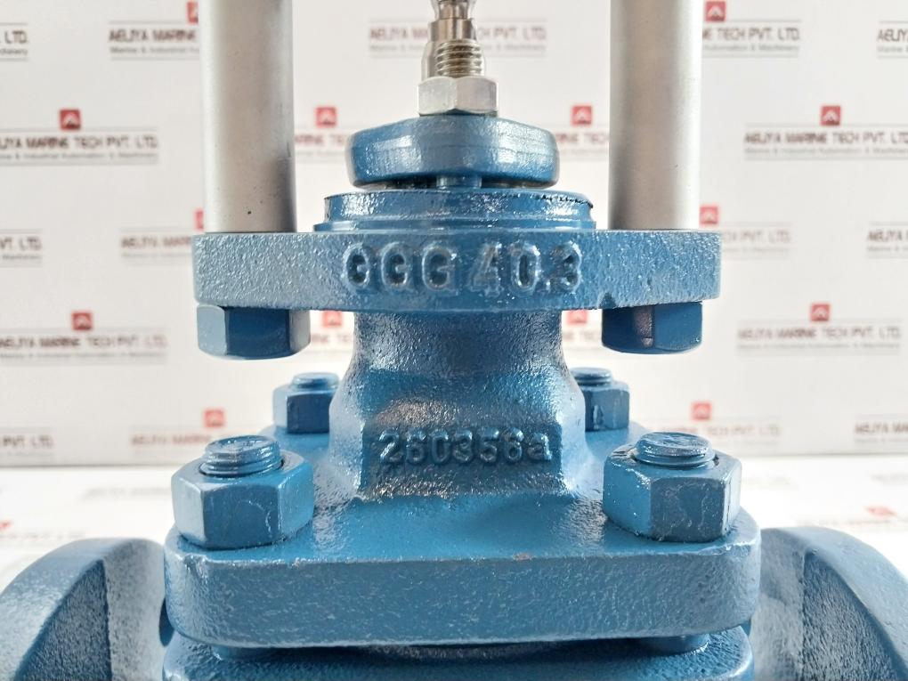Ari Pneumatic Actuator With Dn50 Pn25 Lift Check Valve Dp32