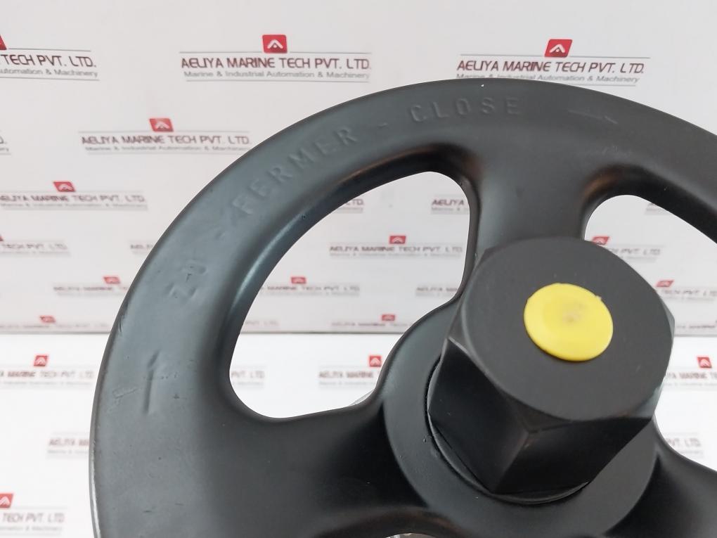 Ari Pneumatic Actuator With Dn50 Pn25 Lift Check Valve Dp32