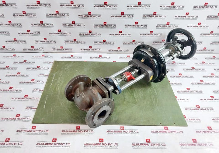 Ari Dp32 Control Valve En-js1049 Pn16-25 0,80-2,40 Bar 92259