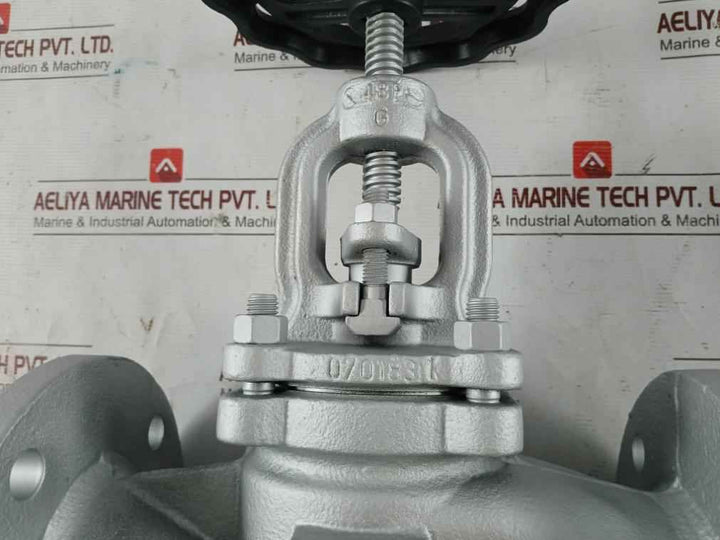 Ari Stobu Bj.14 Stop Valve,Js1049,Dn65,Pn16