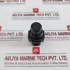 Arrow Pneumatics R262 Air Regulator Miniature Pvt 250 Psig