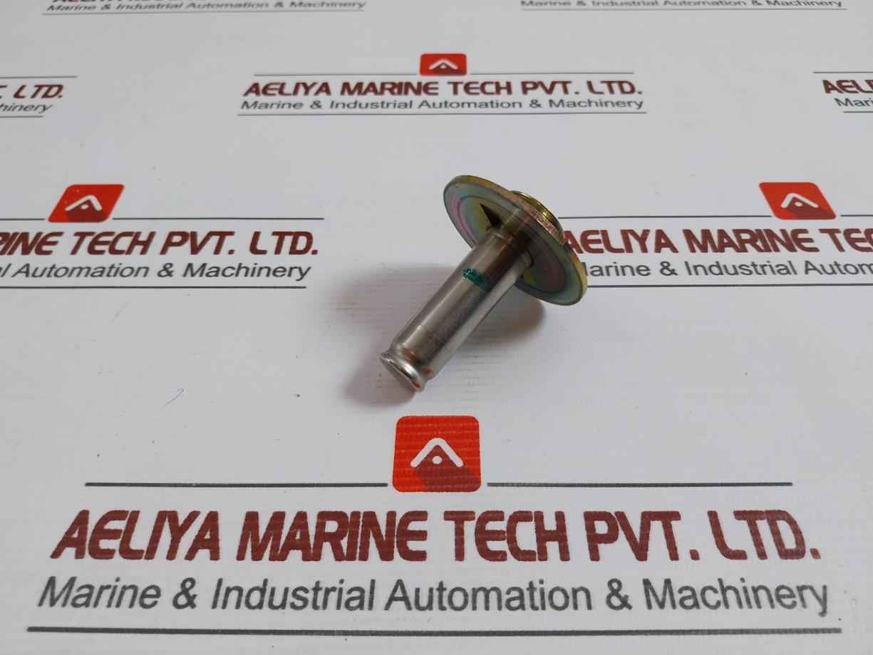 Asco 302333 Valve Rebuild Kit