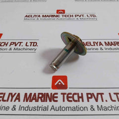 Asco 302333 Valve Rebuild Kit
